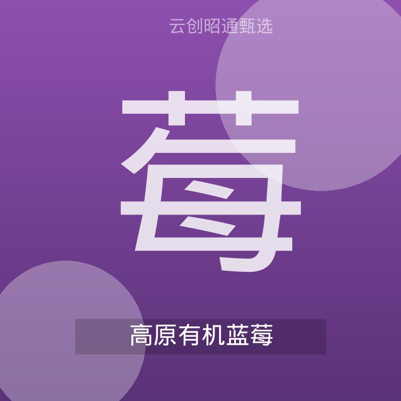 云南高山蓝莓 鲜果 125g装2盒